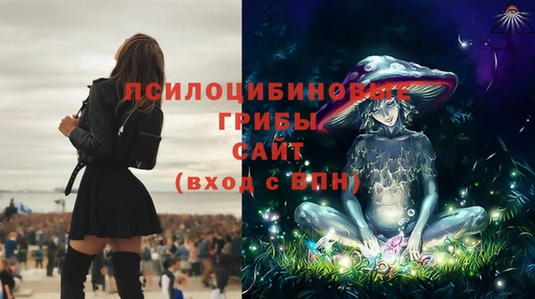 сатива Алзамай