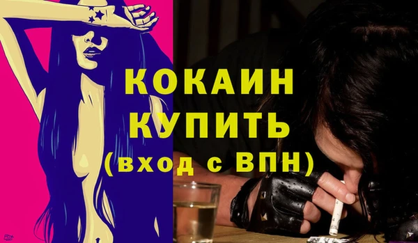 сатива Магас