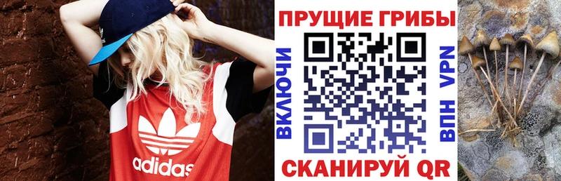 Псилоцибиновые грибы ЛСД Шацк