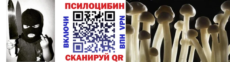 Псилоцибиновые грибы Cubensis  ОМГ ОМГ tor  Шацк 