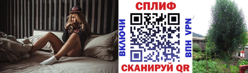 цена наркотик  Шацк  kraken рабочий сайт  Бошки марихуана семена 